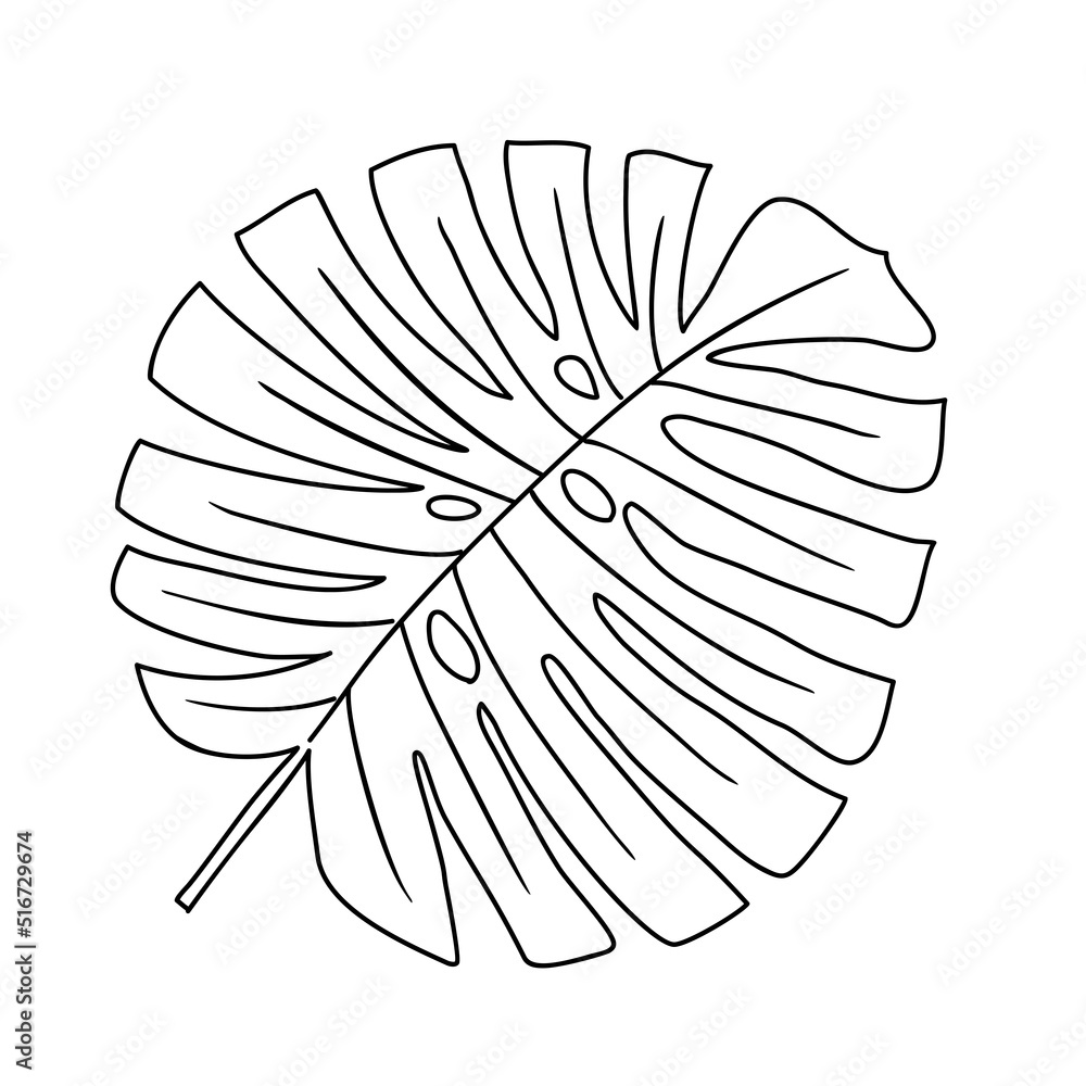 Tropical leaf vector illustration on white background