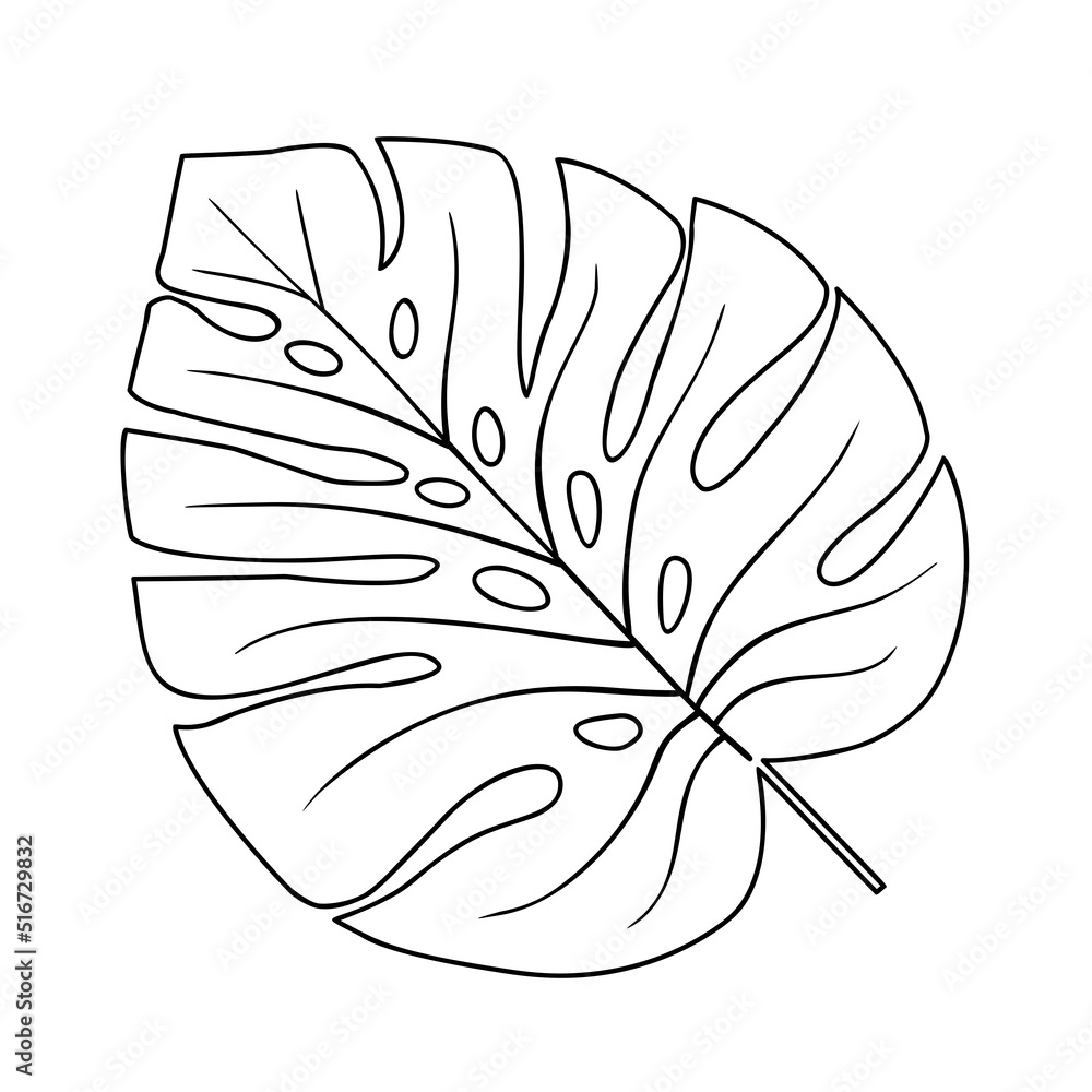 Tropical leaf vector illustration on white background