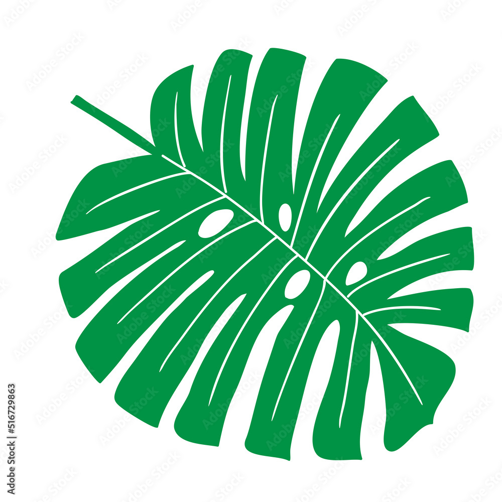 Tropical leaf vector illustration on white background