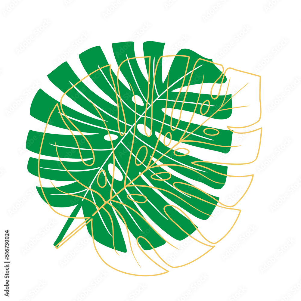 Tropical leaf vector illustration on white background