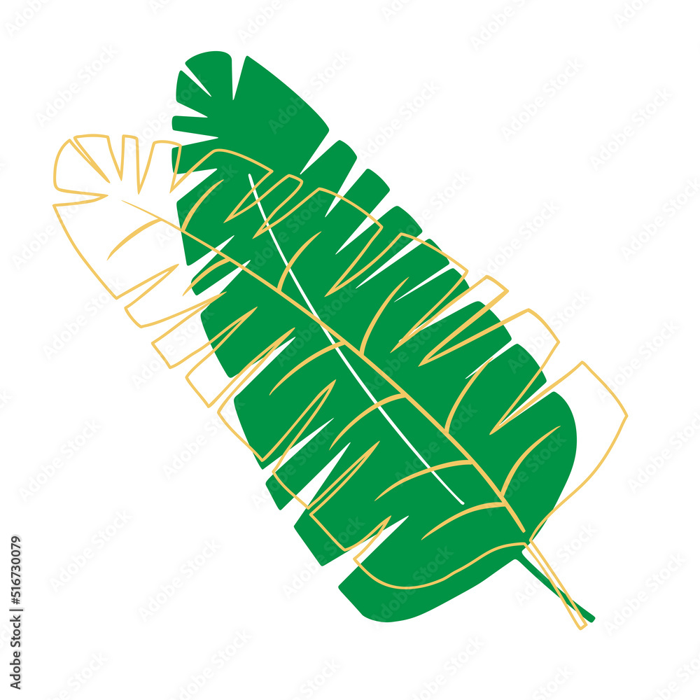 Tropical leaf vector illustration on white background