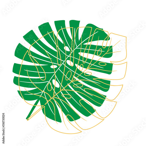 Obraz na płótnie Tropical leaf vector illustration on white background w salonie
