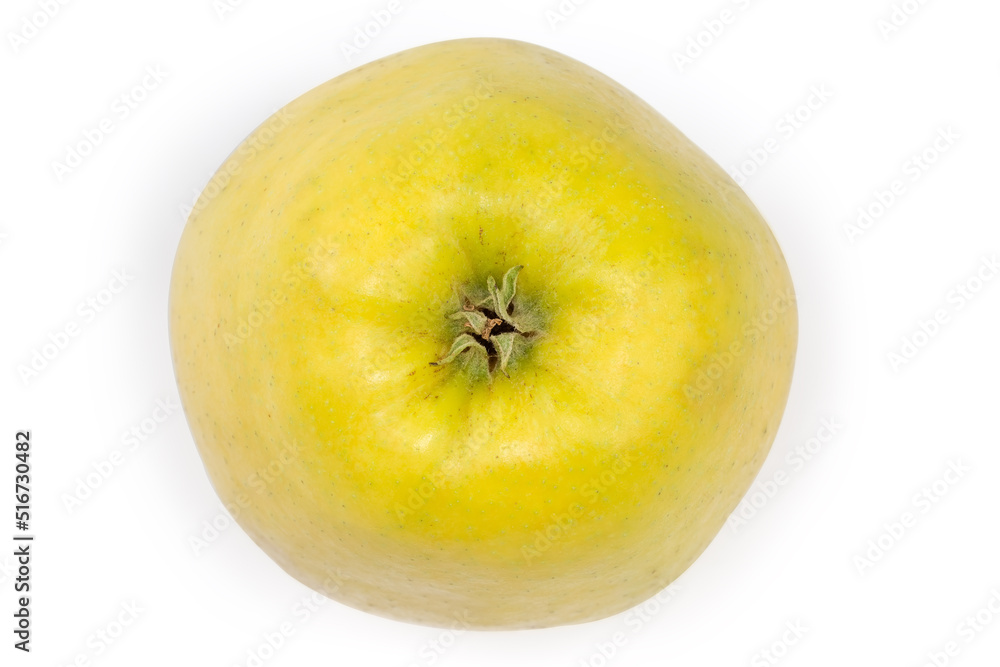 One whole green-yellow apple on a white background One whole green-yellow apple on a white background