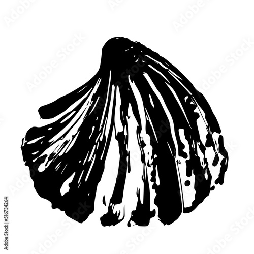 Seashell vector illustration. Stylized sketch ink hand drawing of a seashell.