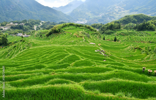 rural terraced fields, China, Zhejiang Province