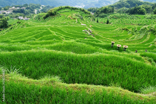 photo of rural terraced fields  China  Zhejiang Province