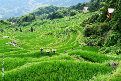 photo of rural terraced fields, China, Zhejiang Province