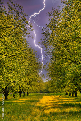 The green countryside in Clarksdale Mississippi photo