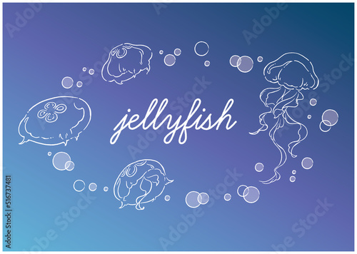 jellyfish_4