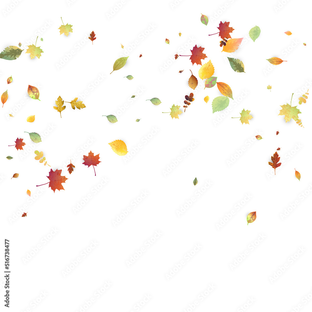 Leaves Falling Autumn Foliage Chaotic Leaf Flying Leaves Falling Autumn Foliage Chaotic Leaf Flying