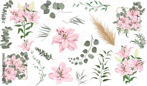 Vector grass and flower set. Eucalyptus, different plants and leaves, dry wood. Pink lily flowers, branches with flowers, compositions with gold frames 