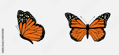 Colorful flying butterflies set isolated on white background. Vector illustration for patterns, prints.