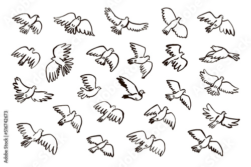 Pigeon peace vector illustrations line set, poster