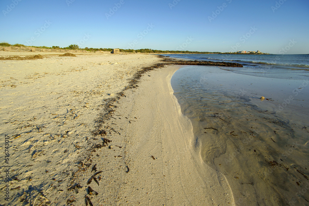 Es Trenc beach. Campos. Migjorn.Mallorca.Balearic Islands.Spain.