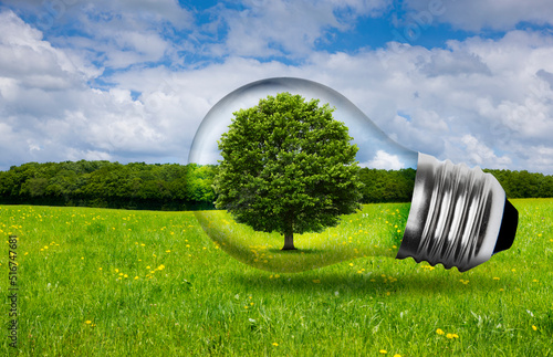 Grünr Baum in einer Glühbirne vor Naturlandschaft