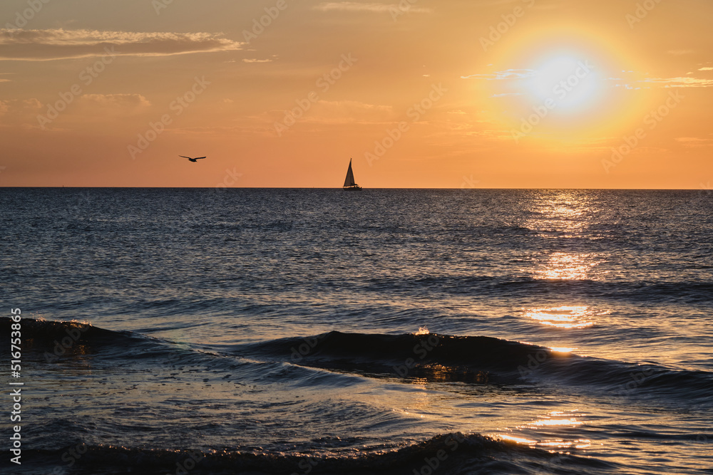 A sailing boat and a flying seagull during a warm sunset over the Baltic Sea