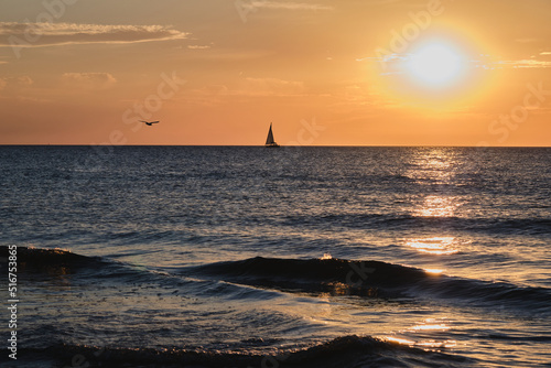 A sailing boat and a flying seagull during a warm sunset over the Baltic Sea