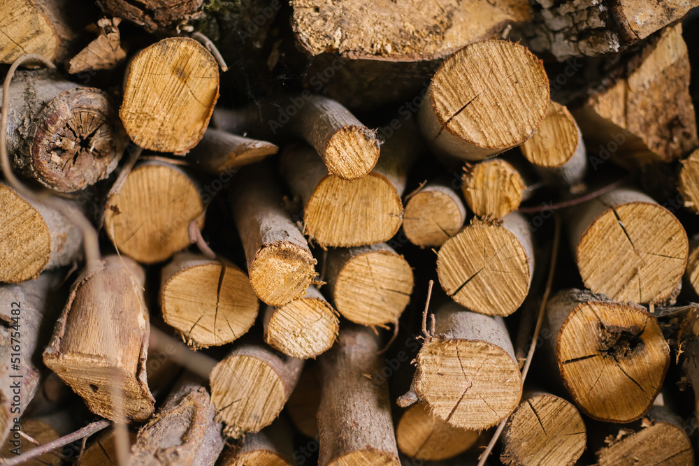 Logs stacked on top of each other. Firewood for kindling. Background and texture. Cut and cross-section of the tree. Logs stacked on top of each other. Firewood for kindling. Background and texture. Cut and cross-section of the tree.