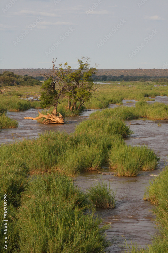 Olifants River / Olifants River /