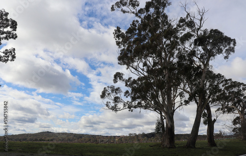 Centennial Road, Bowral Southern Highlands NSW Australia Landscape Photography