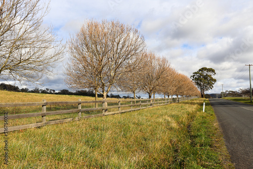 Centennial Road, Bowral Southern Highlands NSW Australia Landscape Photography