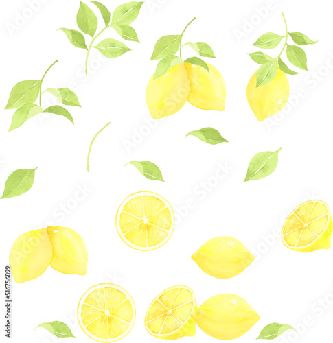 水彩で描いたレモンのイラストセット