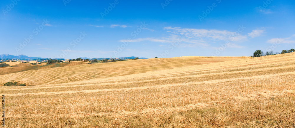 Beautiful countryside view, summer day