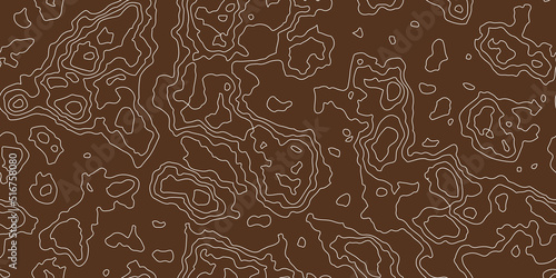 Topographic map seamless pattern of earth relief. Brown abstract topography contour background. Repeat geometric isolines texture of land or underwate. Vector illustration.