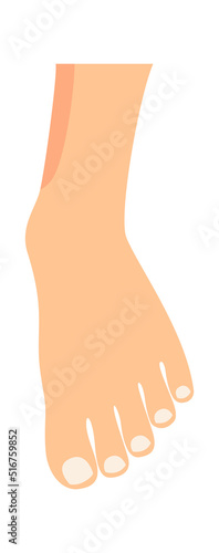 Human Foot icon. Vector illustration