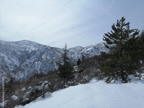 snow covered mountains