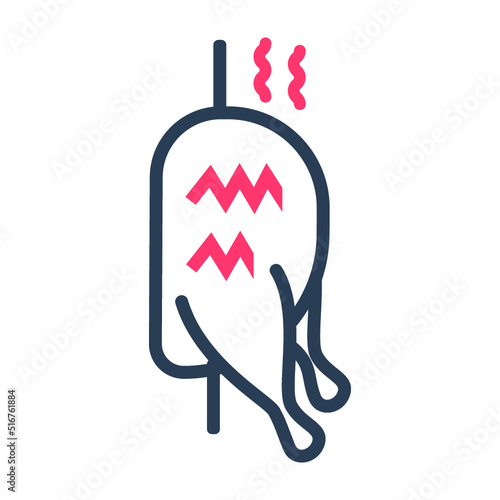 Bbq, chicken, chicken sajji icon