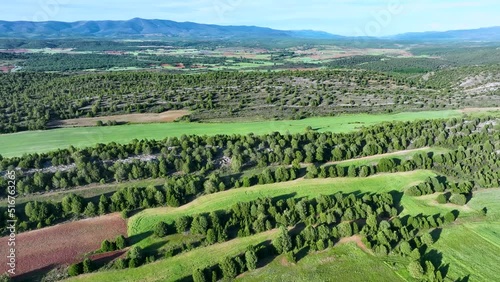 Sabina forests (Juniperus thurifera) and cultivated fields in the surroundings of the town of Hortigüela. Burgos, Castilla y Leon, Spain, Europe photo