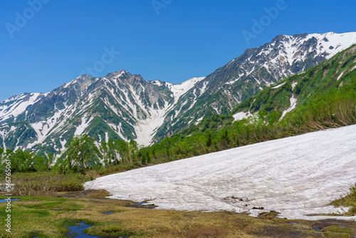 白馬　残雪期栂池自然園の展望湿原 © ibuki