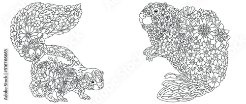 Skunk and beaver coloring pages
