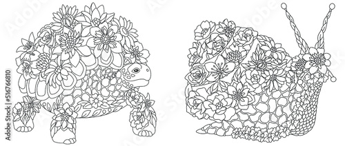 Turtle and snail coloring pages