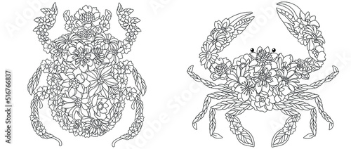 Egyptian scarab and crab coloring pages