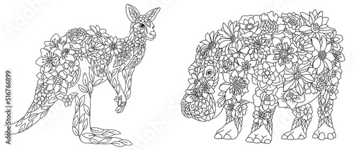 Kangaroo and hippo coloring pages