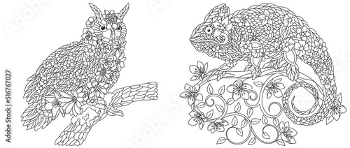 Owl and chameleon coloring pages