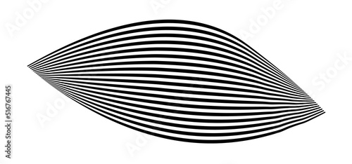 Waving flag as a brush stroke with zebra texture. Vest striped with fabric Black and white stripes curved in a bizarre way with waves curving along the trajectory