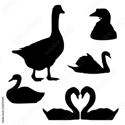 goose silhouette illustration collection