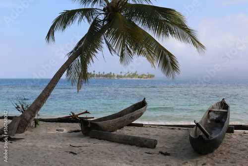 beach with coconut palm © Luciana