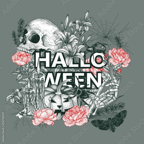Vector illustration of halloween banner template in engraving style. Graphic skull, carved pumpkin, flowers, skeletal hand, moth, tarantula spider, cobweb, candles