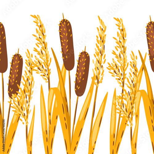 Seamless pattern of bulrush or reed. Image of autumn plant.