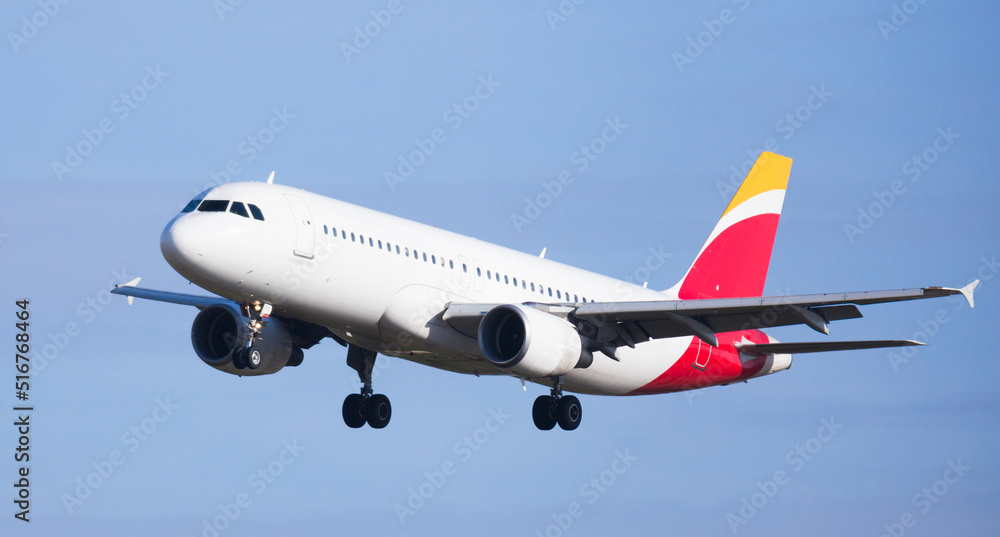Fototapeta premium passenger plane lands at airport