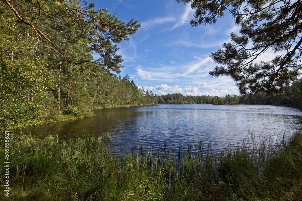 View of lake in autumn at lake Saaren-Musta, Espoo, Finland.