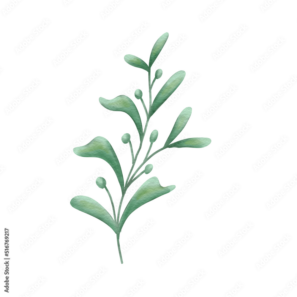 leaf water color
leaf water color