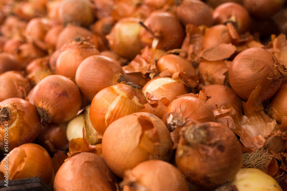 bulb onion in wicker baskets on market counter