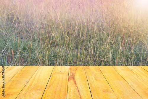 een lawn grass abstract  texture on the evening sunset background. photo