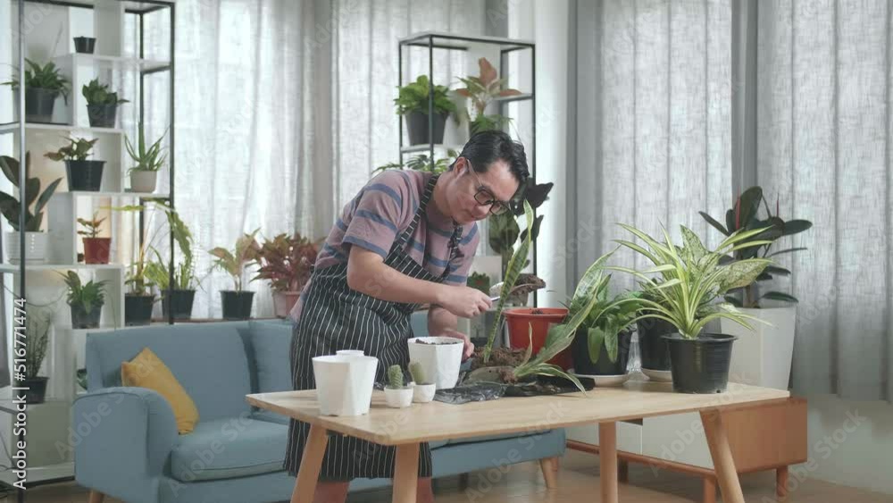 Asian Man Planting At Home
Asian Man Planting At Home