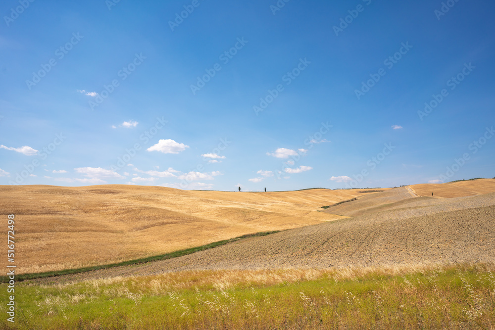Tuscany, summer landscape, golden fields. Italy